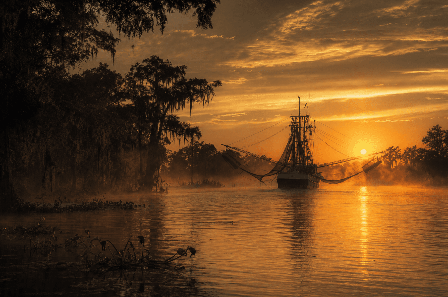 Louisiana bayou at golden hour